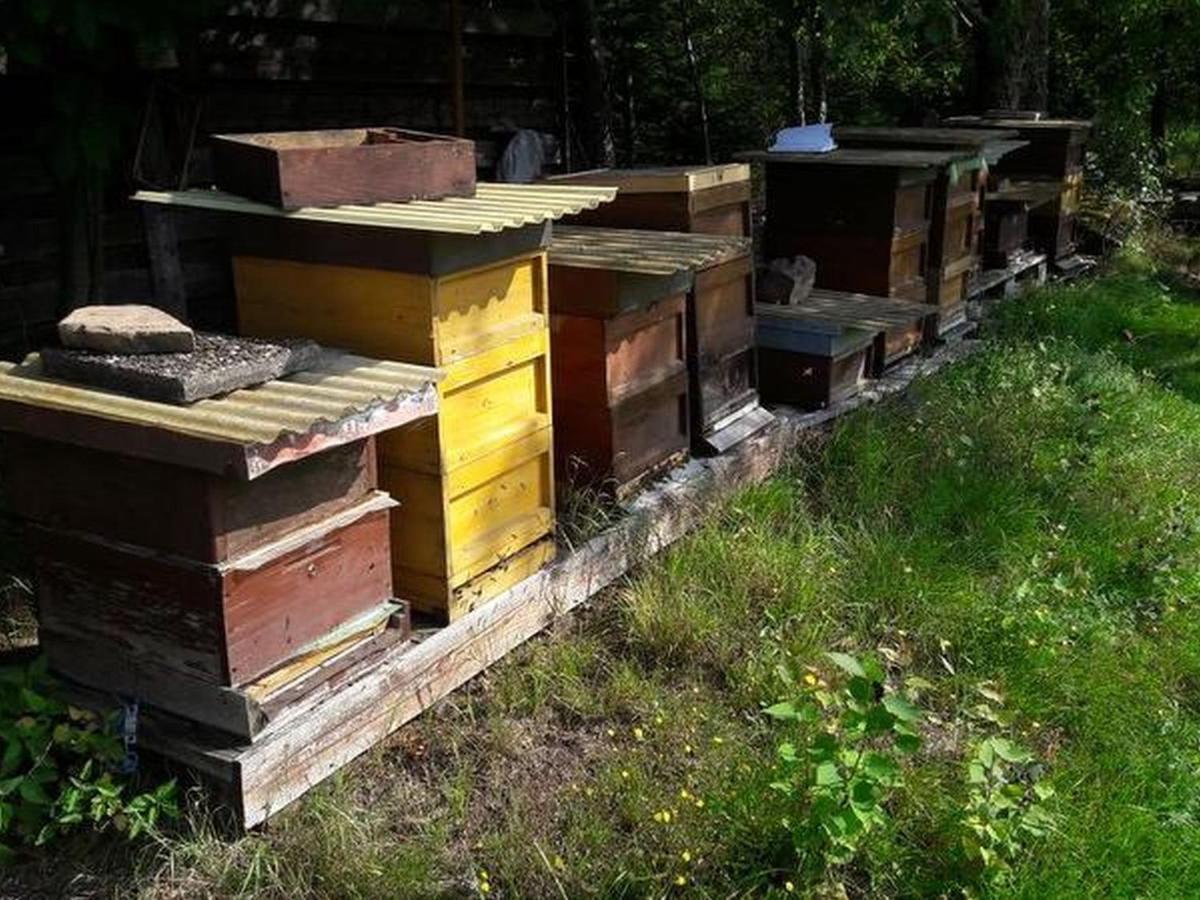 Apartamento Haus Zur Bienenweide Schömberg Exterior foto